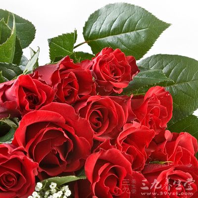 玫瑰花性微温,含有丰富的维生素,对肝与胃有调理作用 玫瑰花性微温,含有丰富的维生素,对肝与胃有调理作用