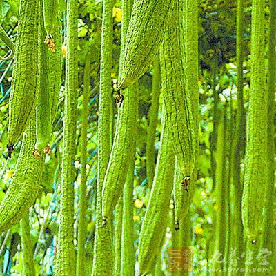 丝瓜咸蛋麦片粥 丝瓜咸蛋麦片粥