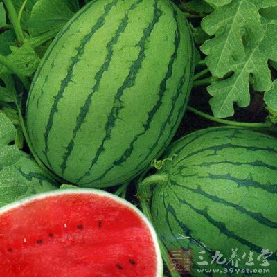 清热、生津、止渴 清热、生津、止渴