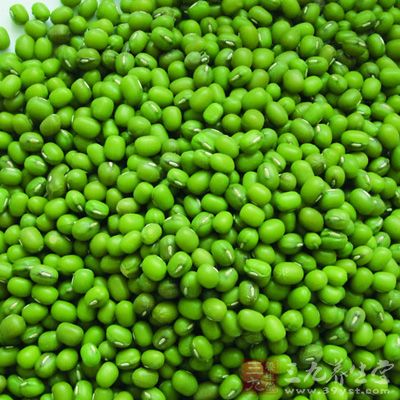 大暑防暑食谱二:绿豆猪肚汤 大暑防暑食谱二:绿豆猪肚汤