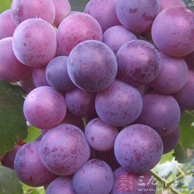 葡萄的铁和糖含量十分丰富 葡萄的铁和糖含量十分丰富