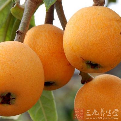 润肺止咳拿手 润肺止咳拿手