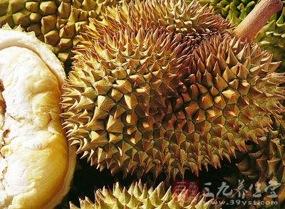 榴莲可调经 榴莲可调经