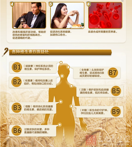 各种维生素B族益处 4