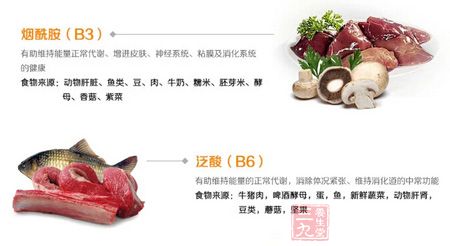 烟酰胺(B3)和泛酸 烟酰胺(B3)和泛酸