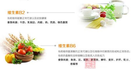 维生素B2和B6 维生素B2和B6