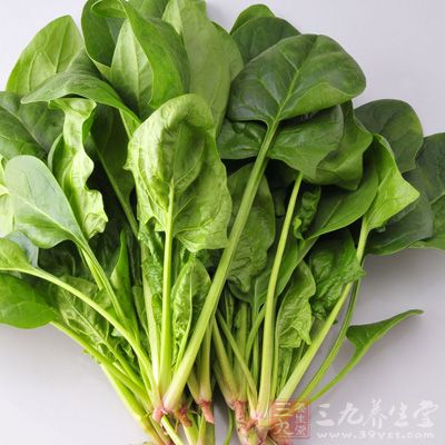 菠菜中含有女性比较容易缺乏的矿物质