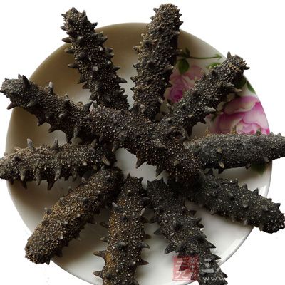 “海中人参”海参 “海中人参”海参