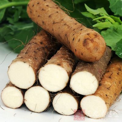 山药既是中药,也是美食 山药既是中药,也是美食