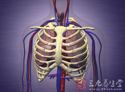 肋骨骨折怎么办 肋骨骨折有哪些治疗方法 - 三九养生堂
