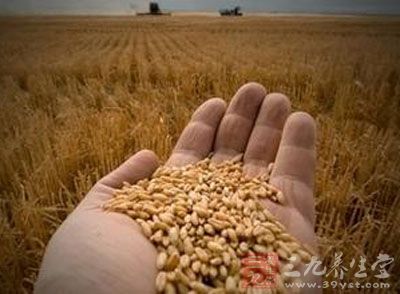 中央一号文件九年六提转基因