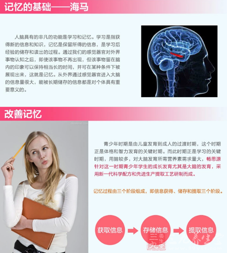 记忆的基础——海马 7