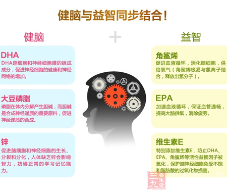 DHA是细胞和神经细胞膜的组成成分 10