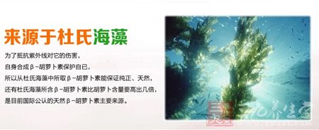 来源于杜氏海藻