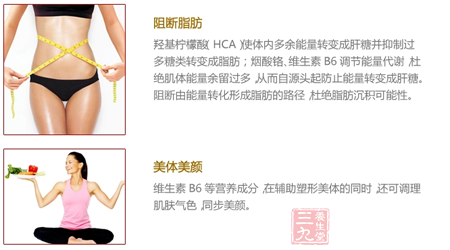 羟基柠檬酸(HCA)使体内多余能量转变为肝糖并抑制过多糖类转变成脂肪 9