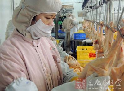 防禽流感增冰鲜鸡供应 内地供港年货足