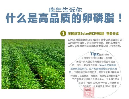 美国舒莱Solae进口卵磷脂，营养天成