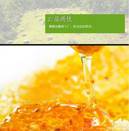 蜜源运输到工厂，经过层层把关