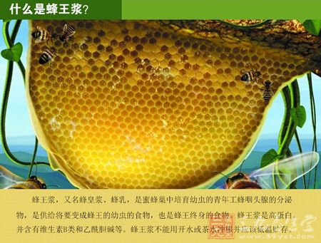 什么是蜂王浆 什么是蜂王浆