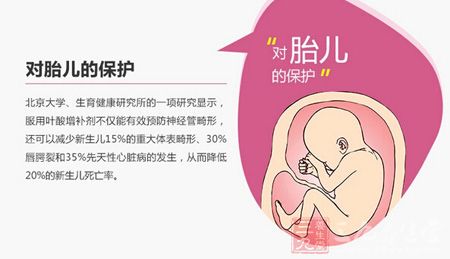 对胎儿的保护 对胎儿的保护
