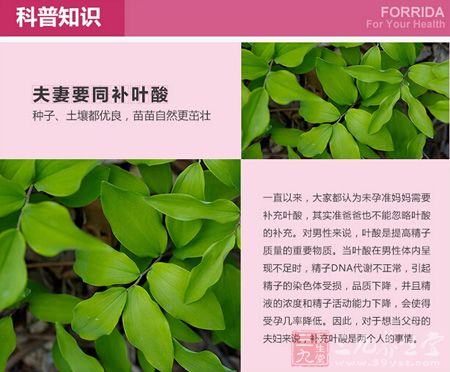 夫妻要同补叶酸 夫妻要同补叶酸