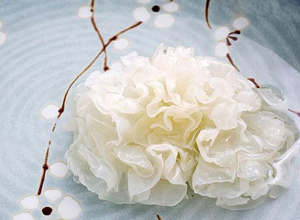 银耳的功效_银耳红枣汤_银耳莲子汤的做法_银