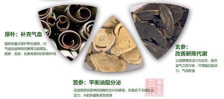 苦参:平衡油脂分泌 苦参:平衡油脂分泌