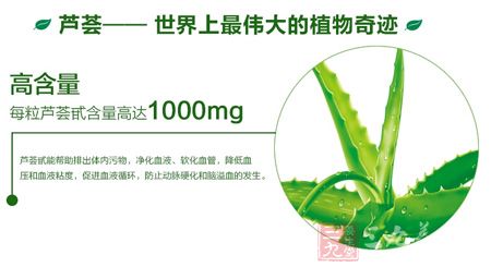 芦荟——世界上伟大的植物奇迹