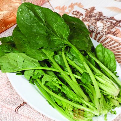 菠菜解毒防春燥 菠菜解毒防春燥