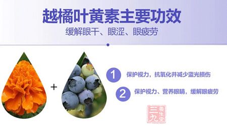 越橘叶黄素主要功效 越橘叶黄素主要功效