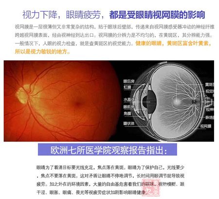 视力下降,眼睛疲劳,都是受眼睛视网膜的影响 视力下降,眼睛疲劳,都是受眼睛视网膜的影响
