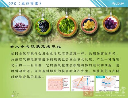 女人小心肌肤急速氧化 女人小心肌肤急速氧化
