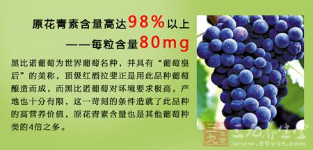 原青花素含量高达98%以上——每粒含量80mg