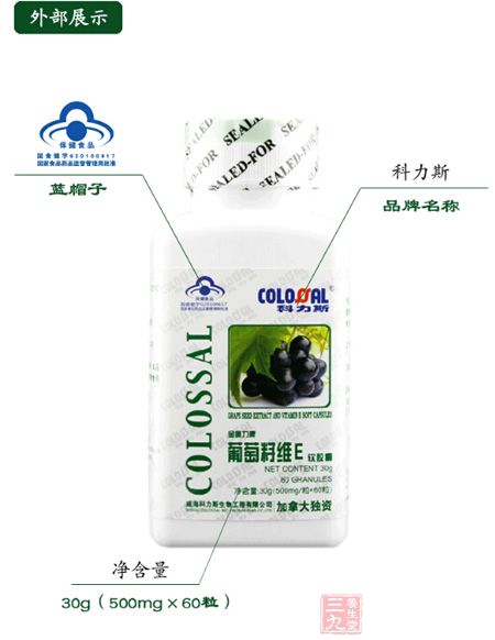 外部展示 外部展示