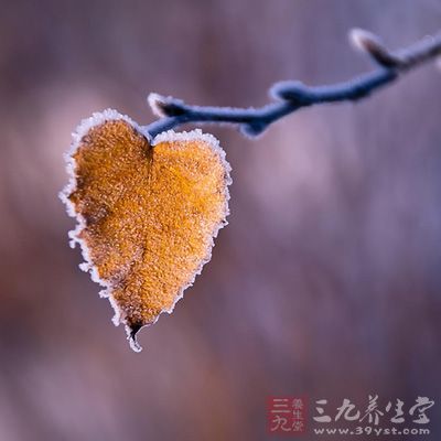 霜降时节正是秋菊盛开的时候,我国很多地方在这时要举行菊花会 霜降时节正是秋菊盛开的时候,我国很多地方在这时要举行菊花会