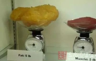 相同重量脂肪与肌肉的体积比较 相同重量脂肪与肌肉的体积比较