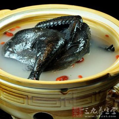 中药丰胸食谱：蒲公英当归炖乌骨鸡