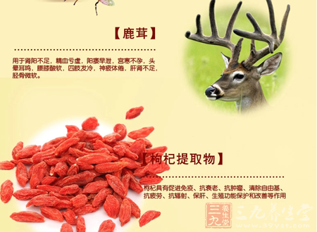 枸杞具有促进免疫、抗衰老、抗肿瘤、清除自由基、 4