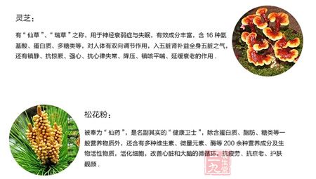 灵芝和松花粉 灵芝和松花粉