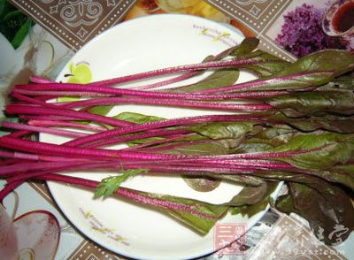 红菠菜 - 第1张  | 中药养生知识-中草药的功效与作用