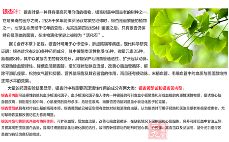 银杏黄酮甙具有对付白出基的高强本领。银杏黄酮甙已被证实能有效地对抗和消除自由基 6