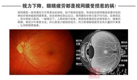 视力下降，眼睛疲劳都是视网膜受损惹的货