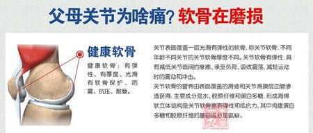 父母关节为啥痛?软骨在磨损 父母关节为啥痛?软骨在磨损
