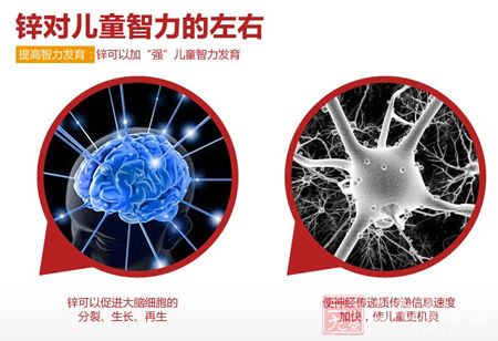 锌对儿童智力的作用