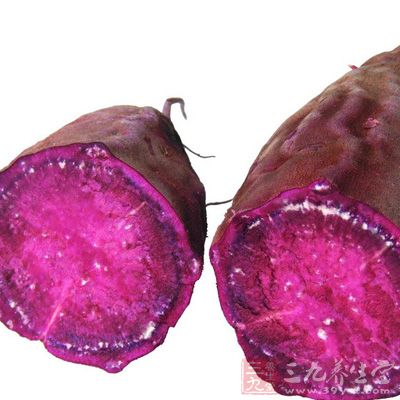 紫薯可以抗衰老 紫薯可以抗衰老