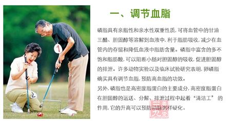 调节血脂 调节血脂