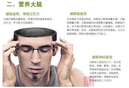 营养大脑 营养大脑