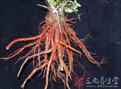 苦,微寒。归心、心包、肝经 20130813171546-1028509748