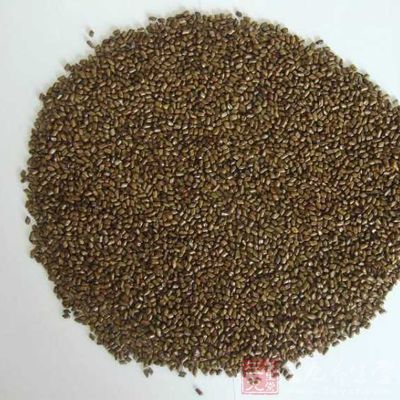 菊花决明子粥 201232113272788