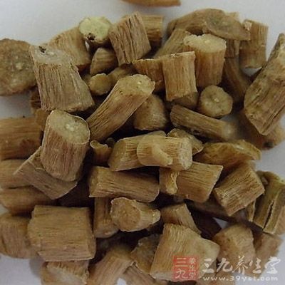 海桐皮牛膝酒治疗腰腿痛